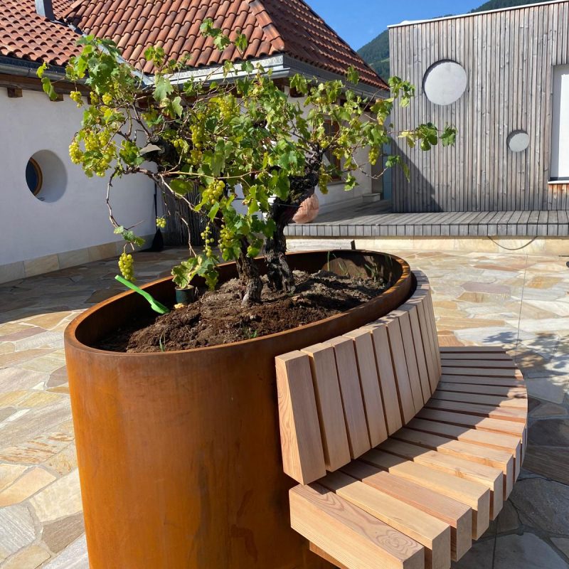 WhatsApp Bild 2025-10-17 um 11.13.10_84d4d8ff