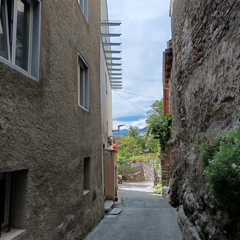 c81f8a25-ba2a-4e82-a338-8593263a334a